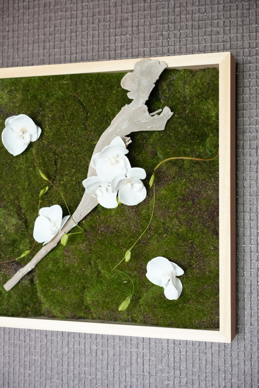 AMIVERDの作品